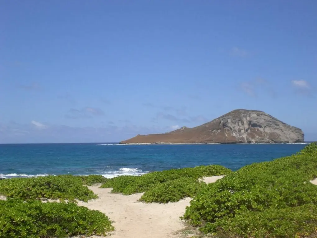 Aussicht von Oahu auf Rabbit Island