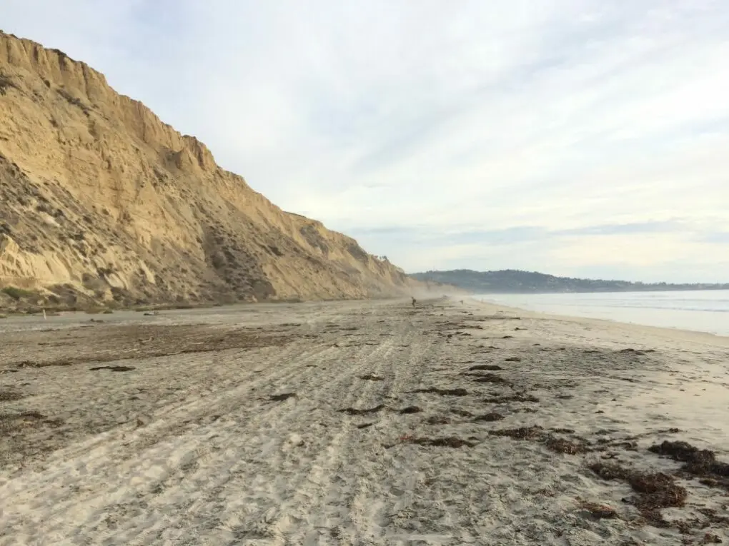 Black's Beach