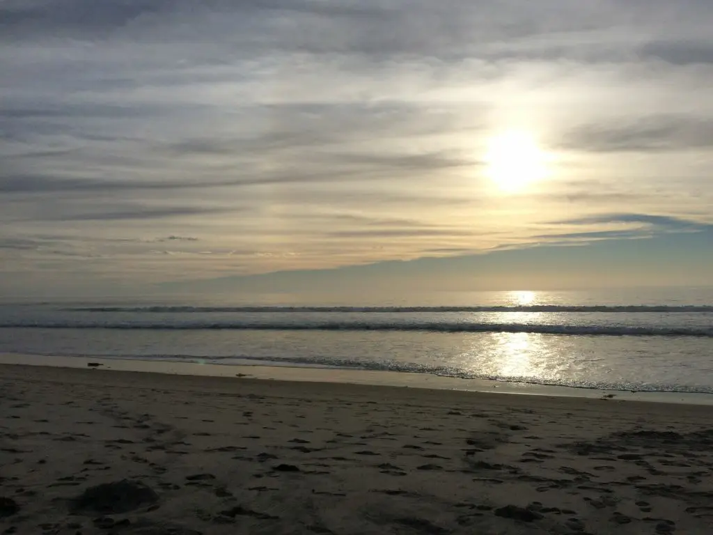 Black's Beach