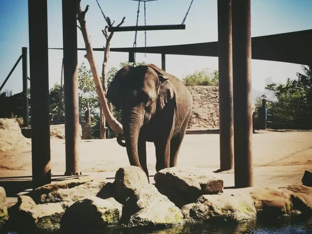 15655978463_04fba36c0f_o