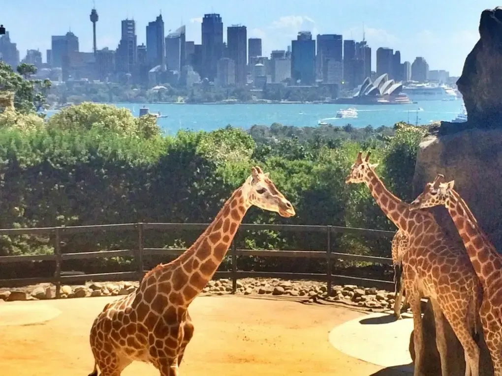 Taronga Zoo