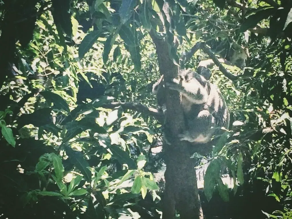 16237143511_df30c92fe3_o