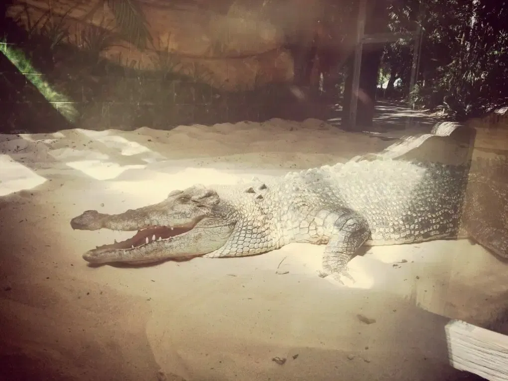 16274077291_3a15cd12d7_o