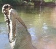 Hartley’s Crocodile Adventures – Kontakt mit Krokodilen