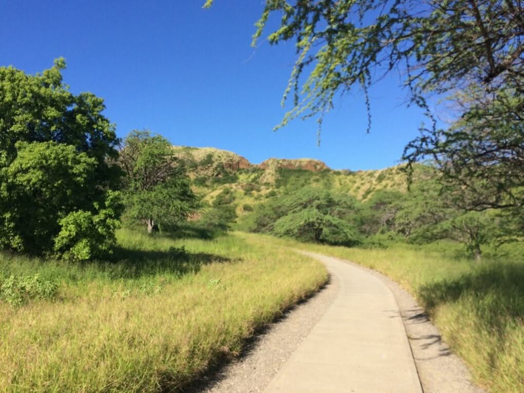 Diamond Head