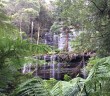 Russell Falls – Beeindruckender Wasserfall mit toller Aussicht