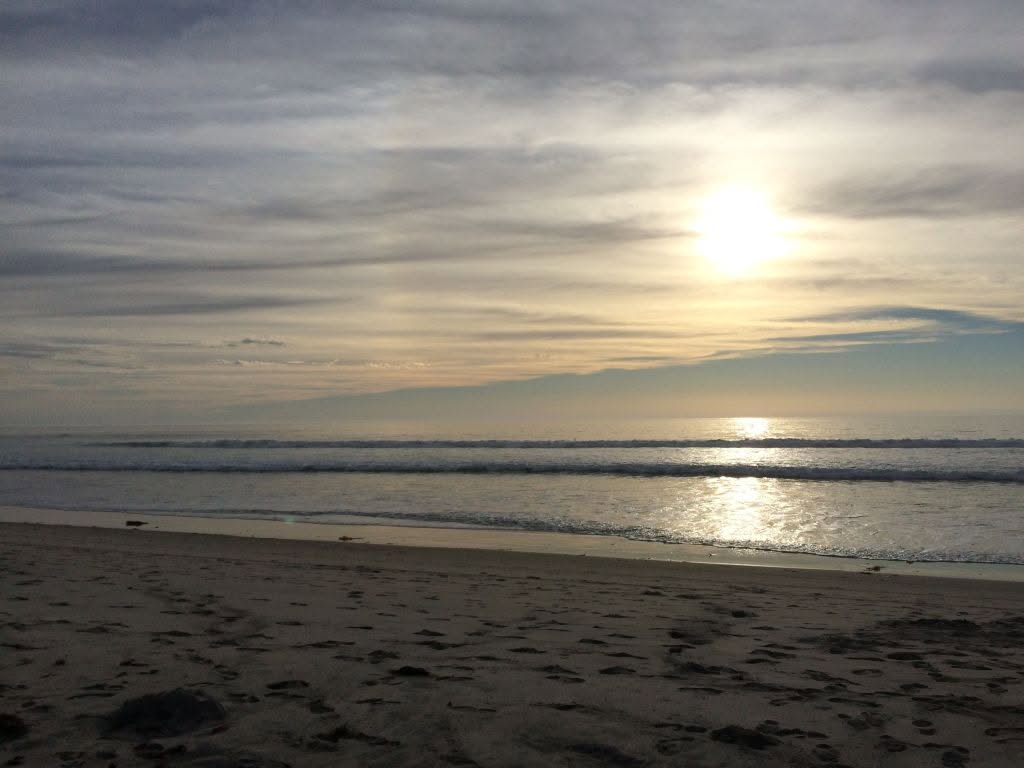 Black's Beach