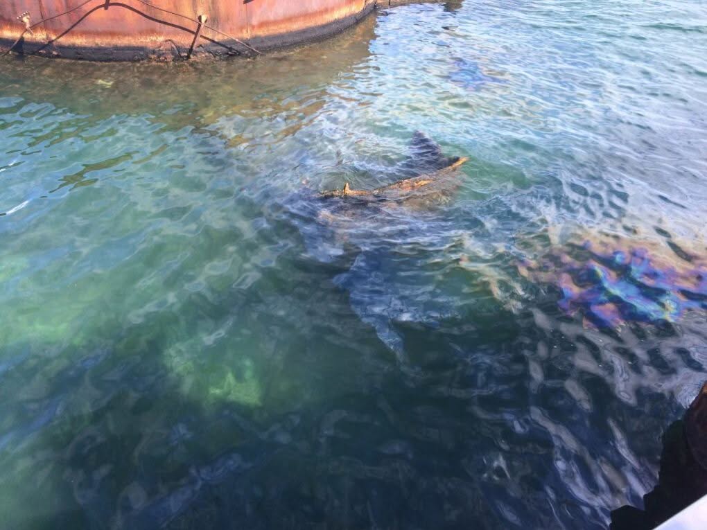 USS Arizona Memorial